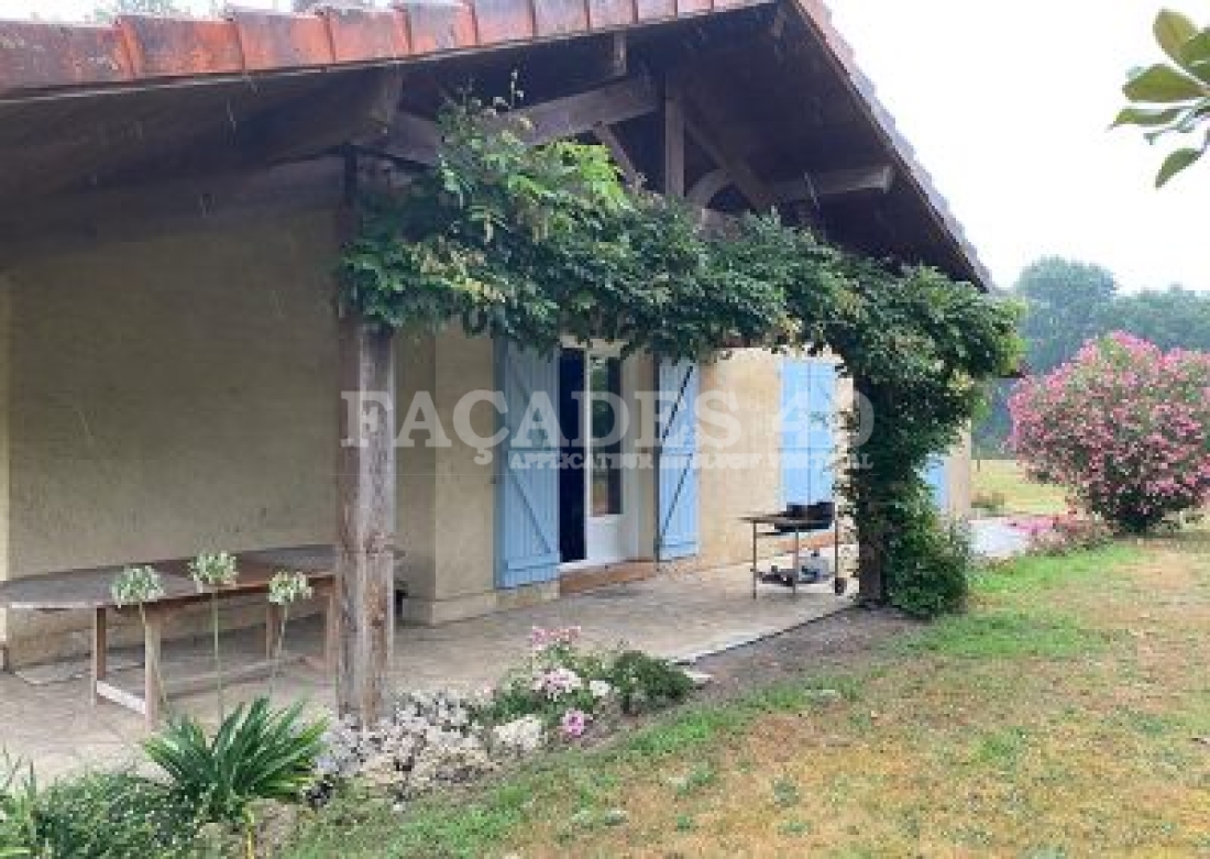 Façades 40: Maison avec volets bleus et pergola couverte de verdure.