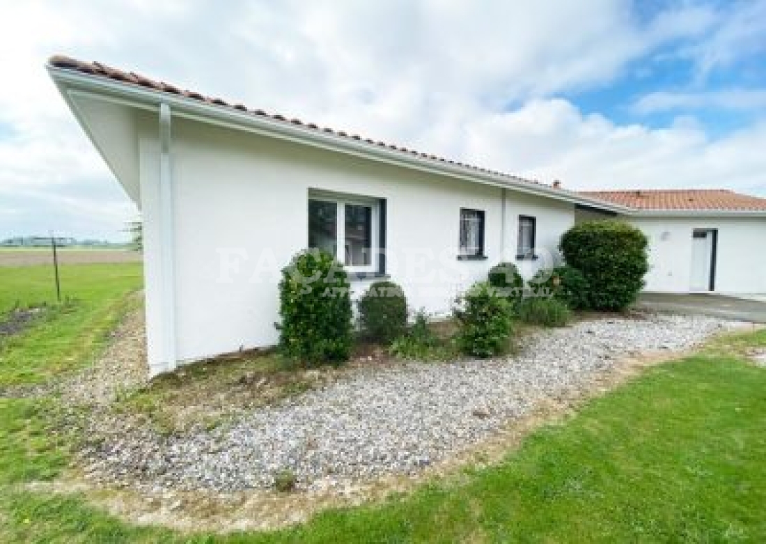 Maison blanche avec jardin et buissons